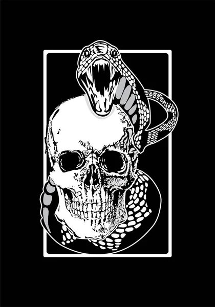 Vertical View Skull Snake Black Background — Stock Vector