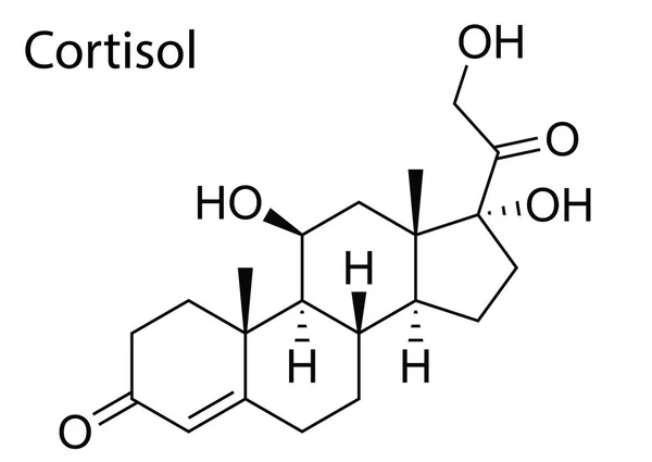 Kortizol Insan Steroidinin Moleküler Yapısının Bir Vektörü — Stok Vektör