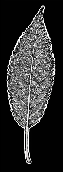 배경에 분리되어 잎으로 그레이 스케일 디지털 — 스톡 벡터