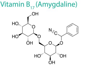B17 vitamininin molekül yapısının bir vektör çizimi (Amygdaline)