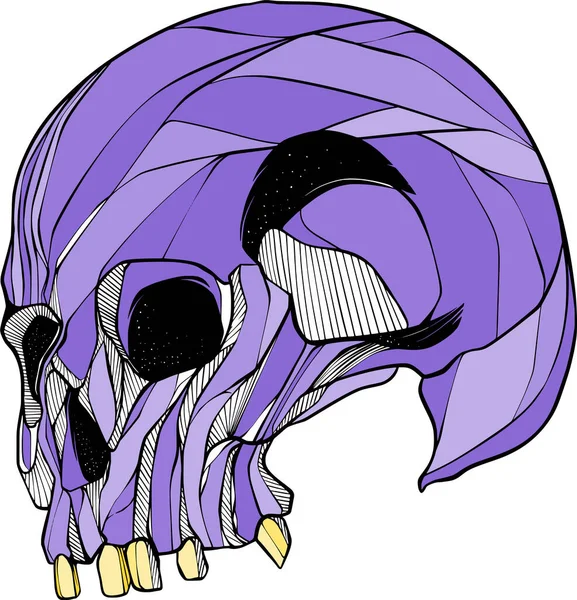 Una Ilustración Digital Cráneo Púrpura Sobre Fondo Blanco — Vector de stock