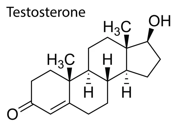 Vector Molecular Structure Testosterone Human Steroid — Stock Vector