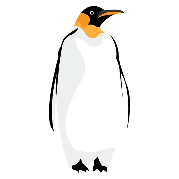 Függőleges Nézet Egy Pingvinről Elszigetelt Alapon — Stock Vector