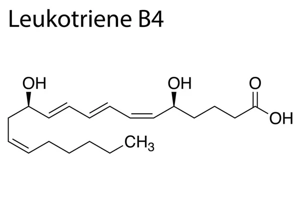 Chemical Formula Structure Leukotriene White Background — Stock Vector