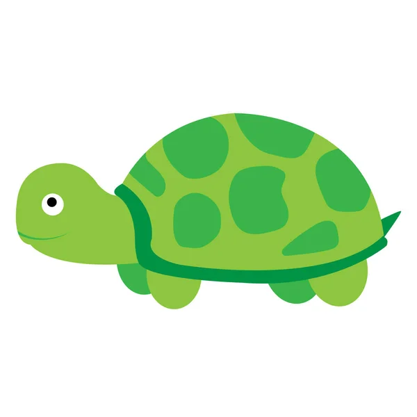 Векторная Иллюстрация Милой Черепахи Белом Фоне — стоковый вектор