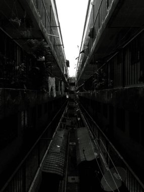 Balkonları ve bitkileri olan iki ev arasında dar bir sokağın dikey görüntüsü. Siyah ve beyaz