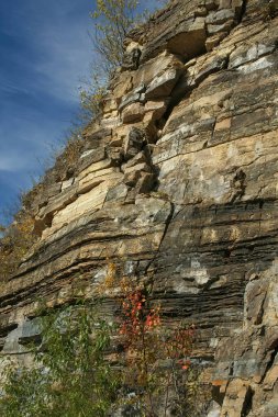 Güneşli bir günde tepesinde ve altında bitkiler olan büyük bir uçurumun dikey görüntüsü.