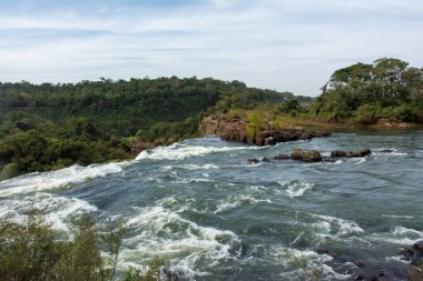 Arjantin 'de mavi gökyüzü olan ahşap ağaçlı Iguazu şelalelerinin manzarası.