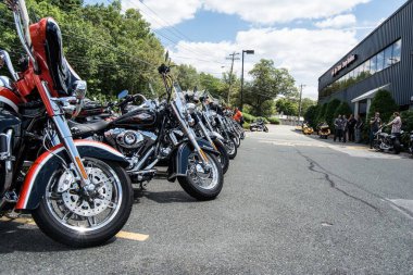 Harley Davidson motosikletleri caddeye park etmiş ve motosikletliler güneşli bir günde arka planda sohbet ediyorlar, cadde boyunca yeşil ağaçlar var.