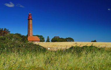 Almanya 'da arka planda deniz feneri olan bir buğday tarlası görüntüsü