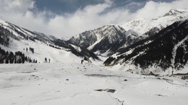 Hindistan 'ın Kaşmir kentindeki Sonamarg' ın ormanları ve tepeleri karla kaplıydı.