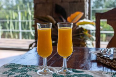 İki portakal suyu bardağı ahşap bir masada yatay çekimde, arka planda biraz doğa var.