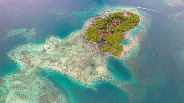 Bocas del Toro Panama 'da denizin ortasındaki bir adanın hava görüntüsü.