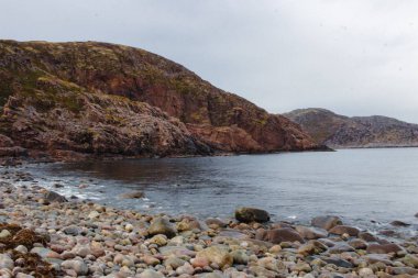 Murmansk, Rusya 'da sisli gökyüzünün altında kayalık kayalıkların olduğu yeşil bir sahil.