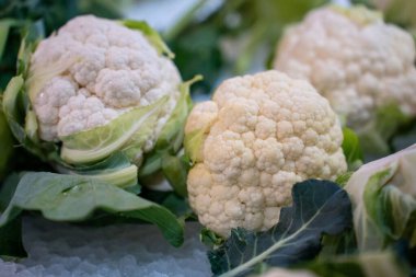 Bulanık arkaplana karşı küçük karnabaharların yakın çekimi