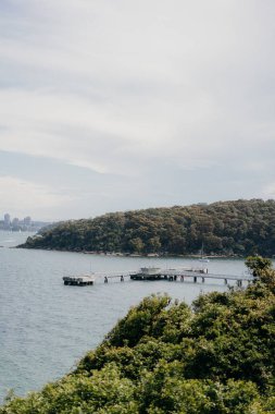 Bulutlu gökyüzüne karşı yeşil bitki örtüsüyle çevrili bir deniz manzarasının dikey görüntüsü.