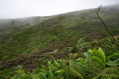 Bir dağın zirvesinde güzel bir sis manzarası.