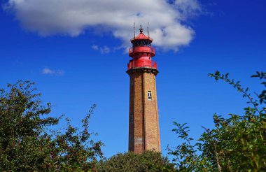 Bir ağacın dallarının arkasındaki kırmızı çatılı deniz fenerinin alçak açılı görüntüsü.