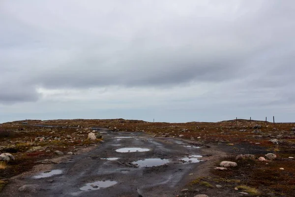 Země Vodními Skvrnami Zelenými Poli Pod Šedou Zamračenou Oblohou Murmansku — Stock fotografie