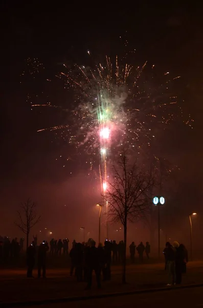 People Watching Fireworks Display Night Sky — Stock Photo, Image