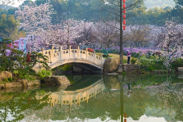 East Lake Cherry Blossom Park Även Kallad Wuhan Moshan Cherry — Stockfoto