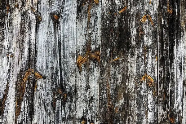 Close Shot Grunge Old Wooden Texture — Stock Photo, Image
