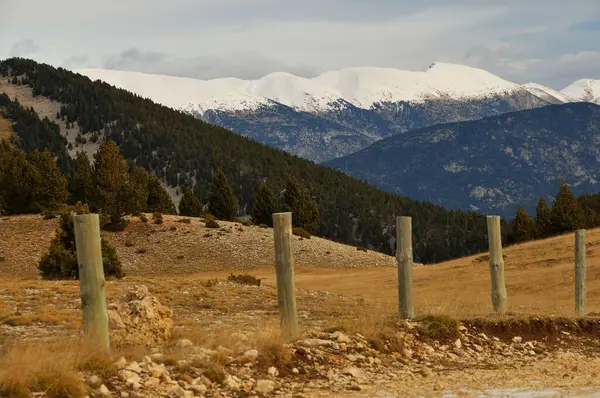雪に覆われた山々を背景にした木製の柱の列 — ストック写真