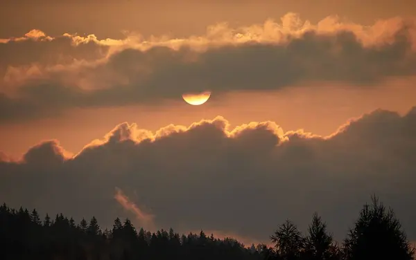 夕阳西下 金光闪闪 笼罩在阴云密布的森林里 — 图库照片