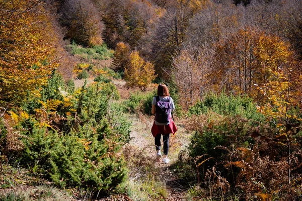 Una Joven Caminata Bosque Valia Kalda Epiro Temporada Otoño Norte —  Fotos de Stock