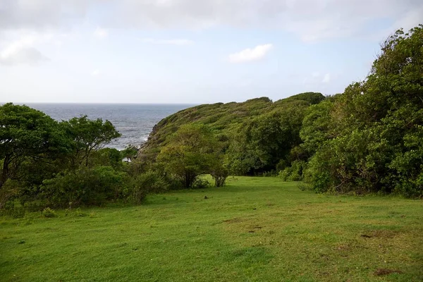背景に海の見える曇り空の下の緑の丘 — ストック写真