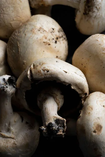 Colpo Verticale Deliziosi Nutrienti Funghi Freschi — Foto Stock