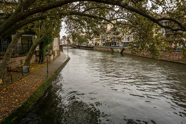 Une Belle Vue Sur Une Rivière Des Arbres Inclinés Strasbourg — Photo