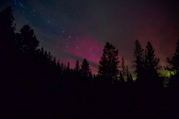 Живописный Вид Силуэты Деревьев Фоне Звездного Ночного Неба Северным Сиянием — стоковое фото