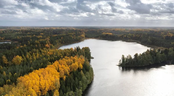 Aerial Beautiful Lake Surrounded Colorful Forest Cloudy Autumn Day Estonia — Stock Photo, Image