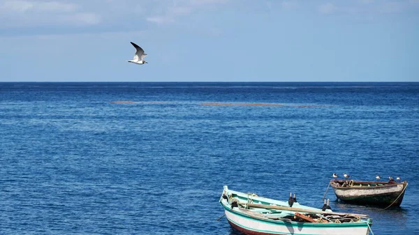Прекрасный Вид Воздуха Лодки Плывущие Ярко Голубой Воде Солнечным Небом — стоковое фото