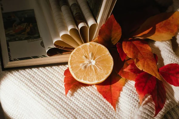 Herbststimmung Mit Einem Buch Und Einer Geschnittenen Zitrone Auf Einem — Stockfoto