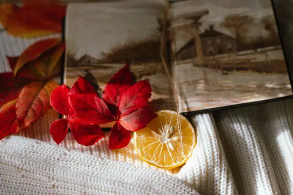 Een Herfstsfeer Met Een Boek Een Gesneden Citroen Een Gebreide — Stockfoto