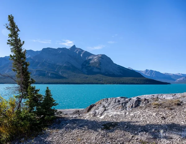 Живописное Озеро Абрахам Горными Породами Заднем Плане Альберте Канада — стоковое фото