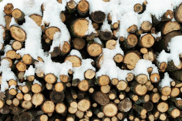 Cut Wood Trunks Covered Snow Stacked Each Other Forest — Stock Photo, Image