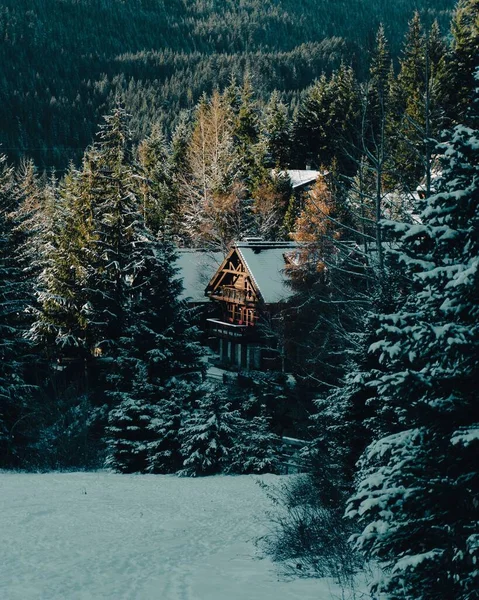 Vysoký Úhel Záběru Dřevěného Domu Lese Zasněženém Kopci — Stock fotografie