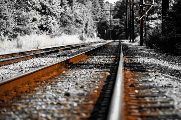 Primer Plano Ferrocarril Vacío Oxidado Durante Invierno — Foto de Stock