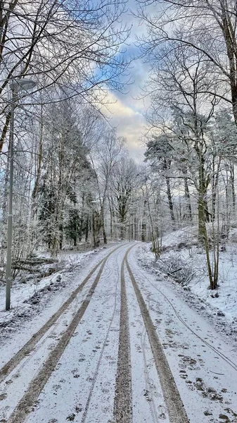 Una Vista Vertical Camino Cubierto Nieve Bordeado Árboles —  Fotos de Stock