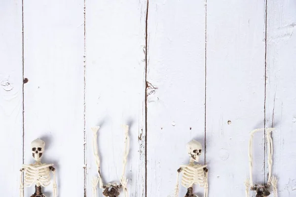 Engraçado Fundo Temático Halloween Com Esqueletos — Fotografia de Stock