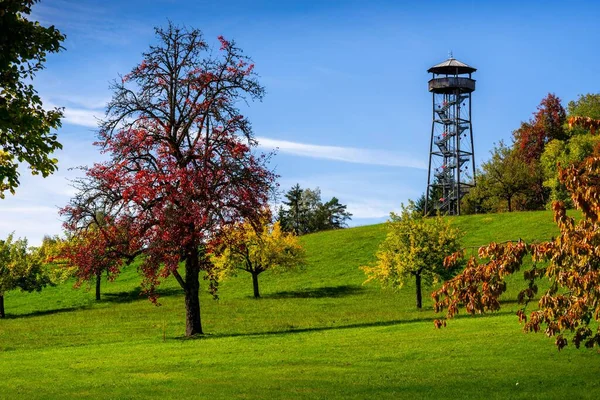 緑の芝生の丘の上の展望塔は ドイツのロスバーグの青い空の下でカラフルな木に囲まれて — ストック写真