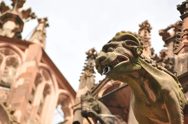 Een Close Van Een Dierenbeeld Buiten Notre Dame Paris Kathedraal — Stockfoto