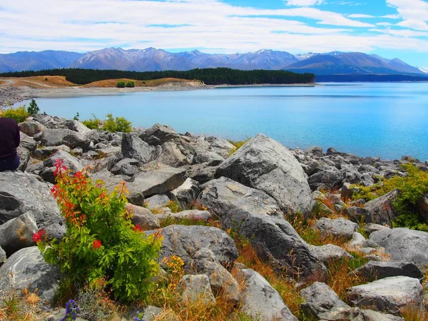 Een Natuurlijk Uitzicht Rotsachtige Pukaki Lake Nieuw Zeeland — Stockfoto