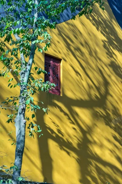 Eine Vertikale Aufnahme Einer Gelben Wand Eines Hauses Hangzhou China — Stockfoto