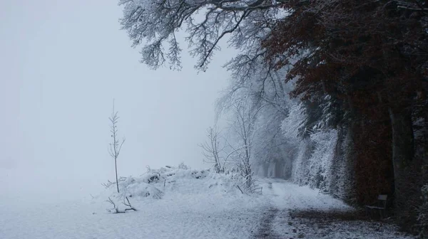Kalter Tag Mit Schnee Und Schnee — Stockfoto