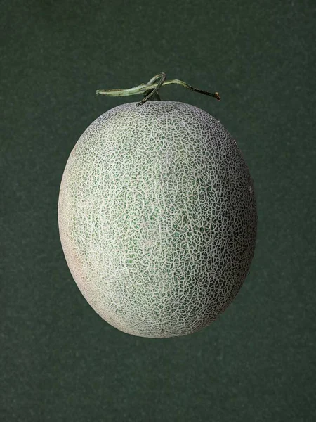 灰色の背景に隔離された果実のカタロウ — ストック写真
