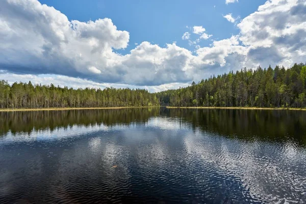 Obraz Jezera Obklopeného Zelenými Vysokými Stromy Odlesky Vodě Pod Modrou — Stock fotografie